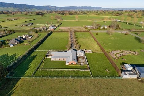 Photo of property in 555 Taihoa South Road, Matamata, 3473