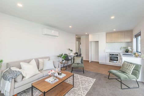 Photo of property in 30a Middlesex Street, Levin, 5510