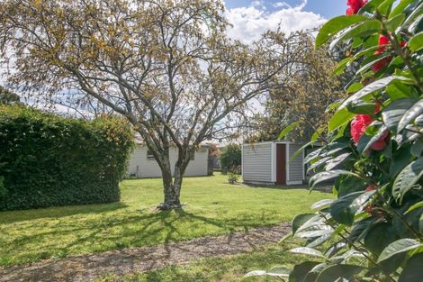 Photo of property in 3 Papawai Road, Greytown, 5712