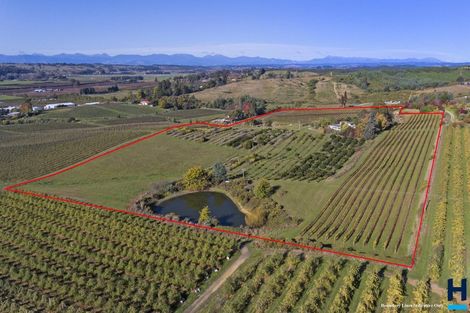 Photo of property in 196 Holdaway Road, Lower Moutere, Upper Moutere, 7175