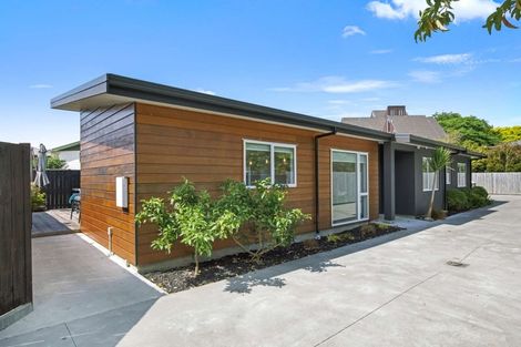 Photo of property in 6a Salisbury Avenue, Terrace End, Palmerston North, 4410