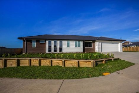 Photo of property in 64 John Burke Drive, Aotea, Porirua, 5024