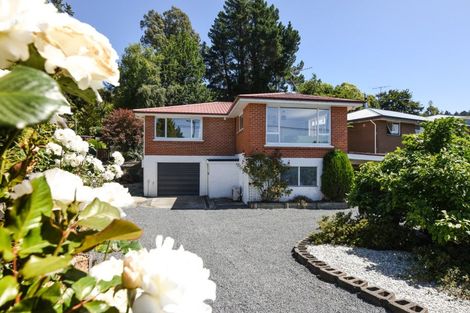 Photo of property in 13 Flower Street, Fairfield, Dunedin, 9018