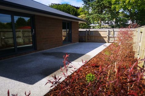 Photo of property in 37 Sussex Street, Levin, 5510