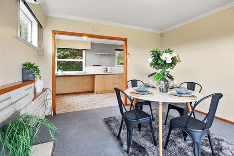 Photo of property in 48 Tongariro Street, Chartwell, Hamilton, 3210