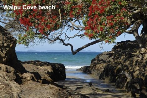 Photo of property in 19 Celtic Place, Waipu, 0510