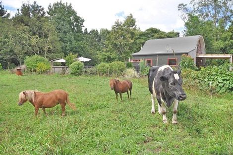 Photo of property in 1082 Churchill Road, Pukekawa, Tuakau, 2696