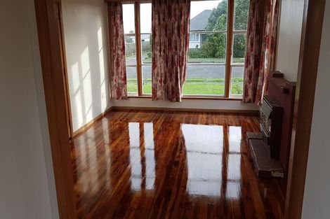 Photo of property in 19 Carlisle Street, Levin, 5510