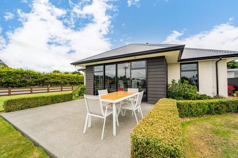 Photo of property in 48 Hayhurst Street, Temuka, 7920