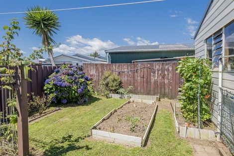 Photo of property in 58 Strathmore Avenue, Levin, 5510