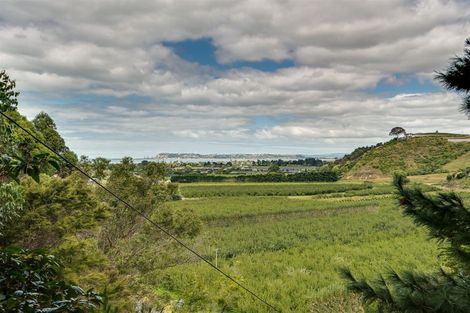 Photo of property in 84 Hill Road, Bay View, Napier, 4182