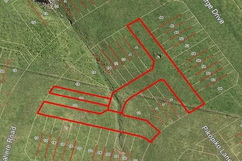 Photo of property in 20 Tahere Road, Totara Park, Auckland, 2019