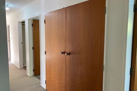 Photo of property in 46b Copeland Street, Hutt Central, Lower Hutt, 5011