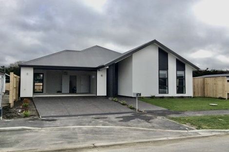 Photo of property in 17 Robert Duncan Road, Belfast, Christchurch, 8051