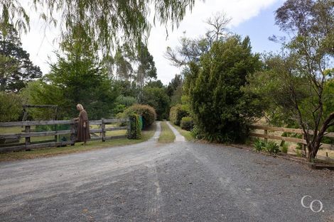 Photo of property in 99c Ross Road, Whakamarama, Tauranga, 3179