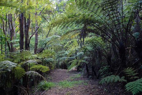 Photo of property in 11 Edward Road, Tamaterau, Whangarei, 0174