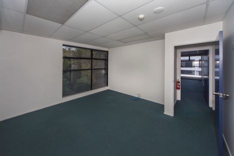 Photo of property in 11 Central Park Drive, Te Atatu South, Auckland, 0610