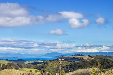 Photo of property in 445 Otake Road, Marotiri, Taupo, 3377