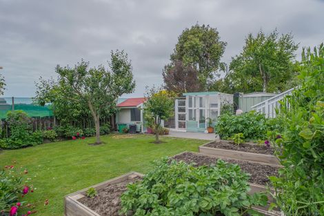 Photo of property in 87 Poplar Street, Gleniti, Timaru, 7910