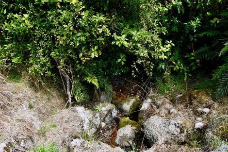 Photo of property in 216 Kongahu Swamp Road, Little Wanganui, Karamea, 7893