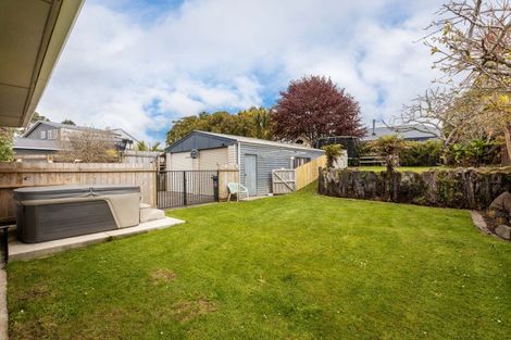Photo of property in 294 Huatoki Street, Upper Vogeltown, New Plymouth, 4310