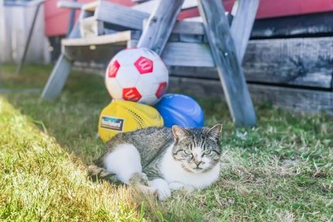 Photo of property in 96 Queens Road, Waikanae Beach, Waikanae, 5036