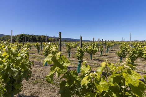 Photo of property in 90 Jeffries Road, Rapaura, Blenheim, 7273