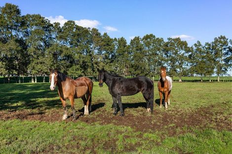 Photo of property in 165 School Road, Manawaru, Te Aroha, 3391