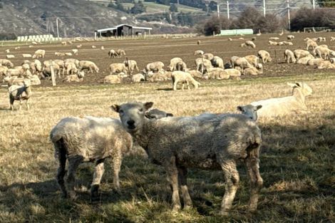 Photo of property in 23a Hythe Street, Athol, 9793