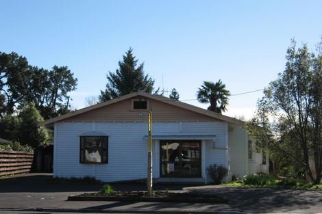 Photo of property in 53 Boundary Road, Claudelands, Hamilton, 3214