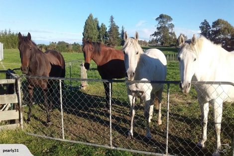 Photo of property in 4 Deans Road, Winton, 9782