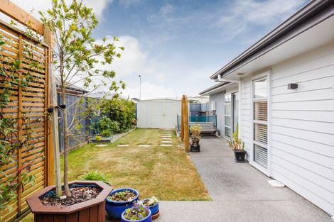 Photo of property in 3 Accolade Street, Feilding, 4702