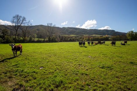 Photo of property in 254 Kohatu-kawatiri Highway, Motupiko, Nelson, 7072