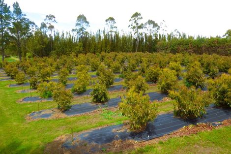 Photo of property in 42c Tyree Road, Waipapa, Kerikeri, 0295