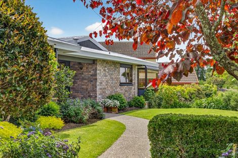 Photo of property in 24 Reeve Drive, Havelock North, 4130