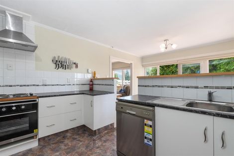 Photo of property in 13 Nikau Street, Springfield, Rotorua, 3015