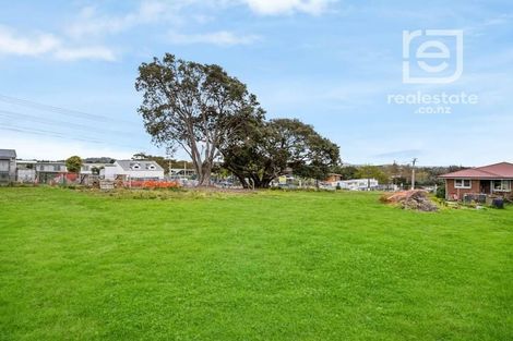Photo of property in 40 Rankin Avenue, New Lynn, Auckland, 0600