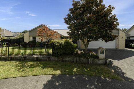 Photo of property in 60 Chater Avenue, Bethlehem, Tauranga, 3110