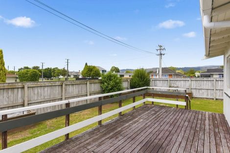 Photo of property in 131 Winchester Street, Levin, 5510