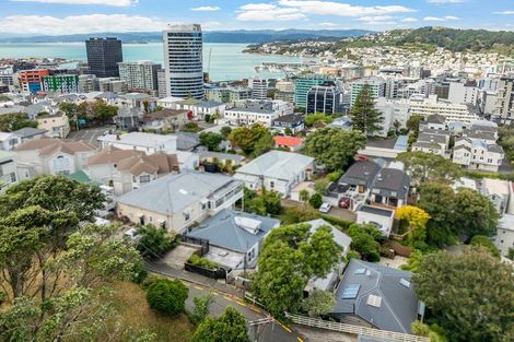 Photo of property in 9 Mckenzie Terrace, Te Aro, Wellington, 6011