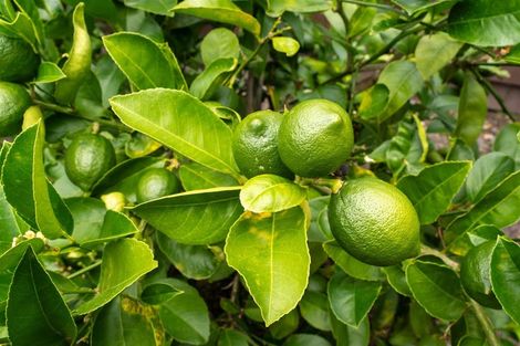 Photo of property in 212 Nayland Road, Stoke, Nelson, 7011