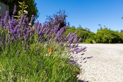 Photo of property in 11 Ewing Place, Albert Town, Wanaka, 9305