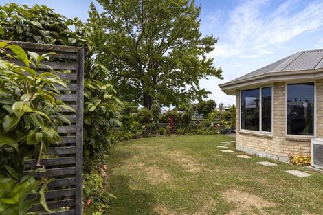 Photo of property in 113 Scott Street, Blenheim, 7201