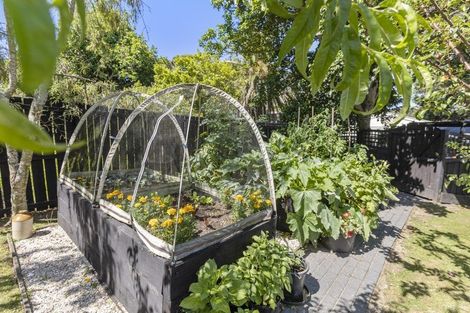 Photo of property in 24 Ostend Road, Ostend, Waiheke Island, 1081