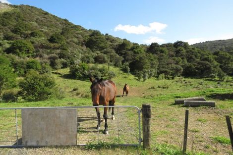 Photo of property in 2043 The 309 Road, Kaimarama, Whitianga, 3591