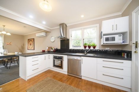 Photo of property in 490 College Street, Hokowhitu, Palmerston North, 4410