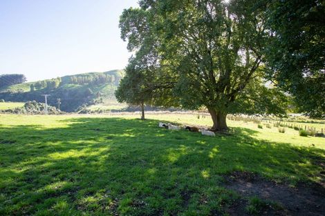 Photo of property in 334 Ormondville Te Uri Road, Ormondville, Dannevirke, 4977