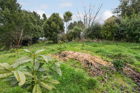 Photo of property in 3 Adolphus Street, Norsewood, 4974