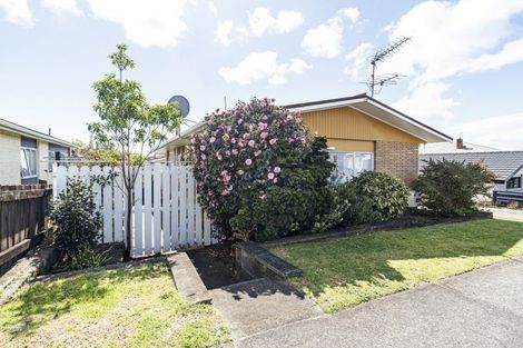 Photo of property in 1/147 Lemon Street, Strandon, New Plymouth, 4312