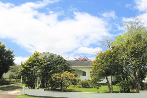 Photo of property in 21 Mueller Street, Waihi, 3610